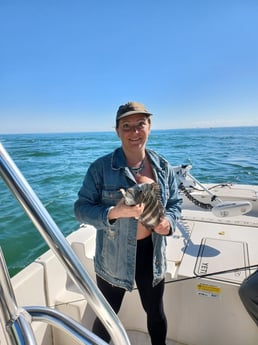 Florida Pompano fishing in St. Petersburg, Florida