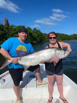 Tarpon fishing in Carolina, Carolina