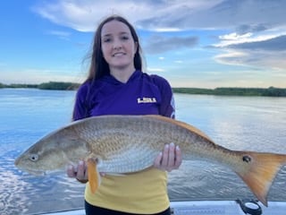 Fishing in New Orleans, Louisiana