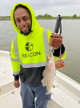 Speckled Trout Fishing in Galveston, Texas