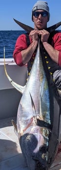 Yellowfin Tuna fishing in Venice, Loisiana