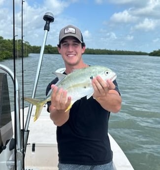 Jack Crevalle Fishing in Naples, Florida