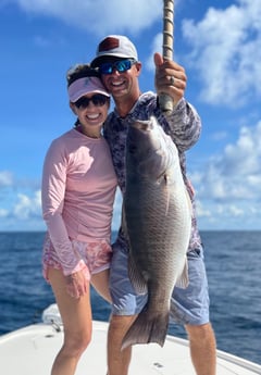 Mangrove Snapper fishing in Santa Rosa Beach, Florida