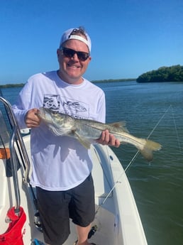 Snook fishing in St. Petersburg, Florida