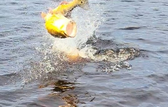 Redfish fishing in South Padre Island, Texas