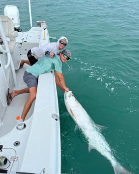 Tarpon Fishing in Key West, Florida