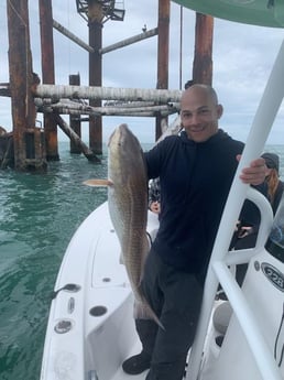 Redfish Fishing in Galveston, Texas