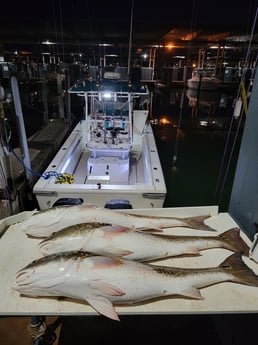 Redfish fishing in Galveston, Texas