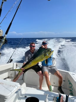 Mahi Mahi / Dorado fishing in Marathon, Florida