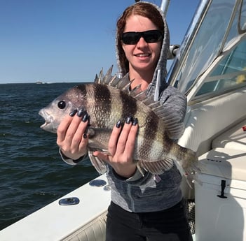 Sheepshead fishing in Galveston, Texas