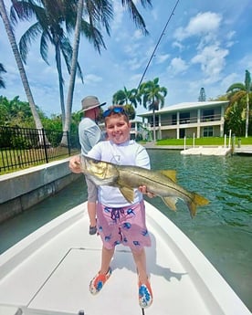 Snook fishing in Sarasota, Florida