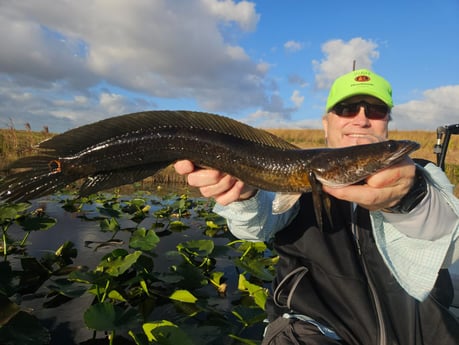 Fishing in Fort Lauderdale, Florida