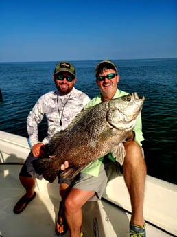 Tripletail Fishing in Boothville-Venice, LA, USA