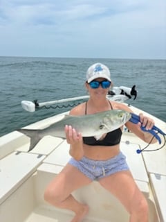 Bluefish Fishing in Beaufort, North Carolina