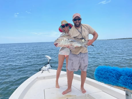 Black Drum fishing in Panama City Beach, Florida