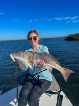 Redfish Fishing in New Smyrna Beach, Florida