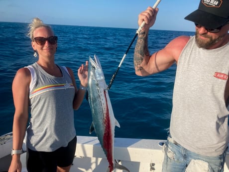 Cero Mackerel Fishing in Marathon, Florida