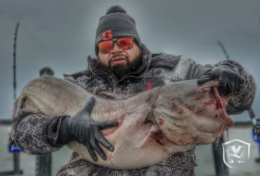 Blue Catfish fishing in Dallas, Texas