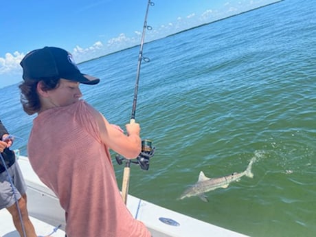 Blacktip Shark fishing in Placida, Florida