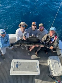 Sailfish Fishing in Pompano Beach, Florida