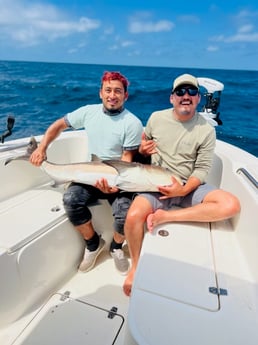 Cobia Fishing in Mount Pleasant, South Carolina