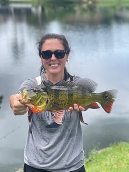 Fishing in Davie, Florida