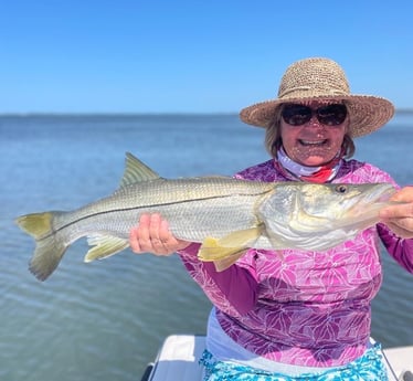 Speckled Trout / Spotted Seatrout fishing in Sarasota, Florida