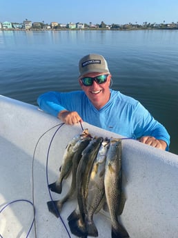 Speckled Trout / Spotted Seatrout fishing in Corpus Christi, Texas