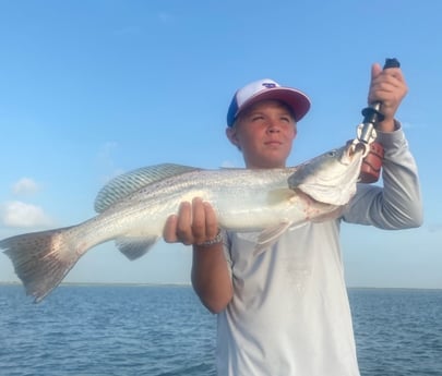 Speckled Trout / Spotted Seatrout fishing in Matagorda, Texas