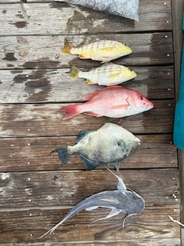 Fishing in Corpus Christi, Texas