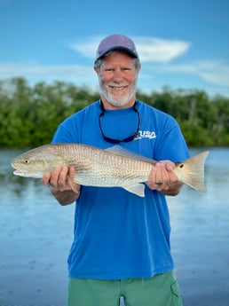 Redfish Fishing in Islamorada, Florida