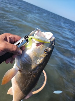 Redfish Fishing in Rio Hondo, Texas