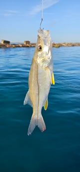 Fishing in South Padre Island, Texas