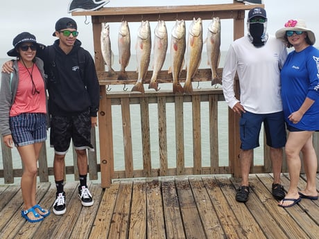 Redfish, Speckled Trout / Spotted Seatrout fishing in Port Isabel, Texas