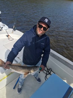 Redfish Fishing in St. Petersburg, Florida