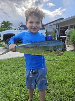 Mahi Mahi Fishing in Fort Lauderdale, Florida