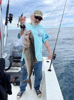 Sheepshead fishing in Pensacola, Florida