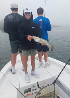 Snook fishing in Sarasota, Florida