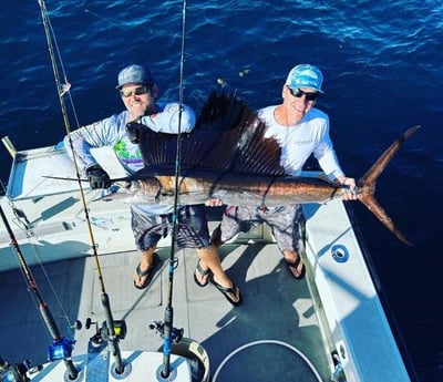 Sailfish Fishing in Pompano Beach, Florida