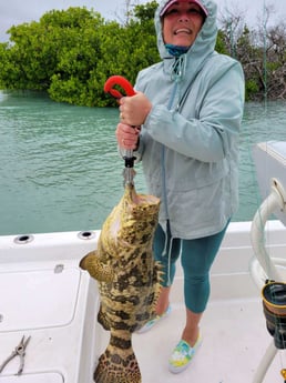 Goliath Grouper fishing in Key West, Florida