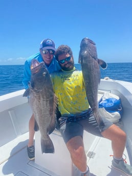 Black Grouper fishing in Key West, Florida