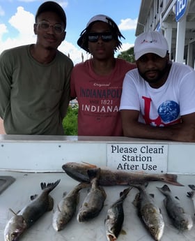 Redfish, Speckled Trout / Spotted Seatrout fishing in Galveston, Texas