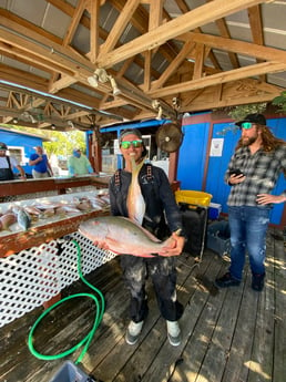 Mutton Snapper fishing in Key West, Florida