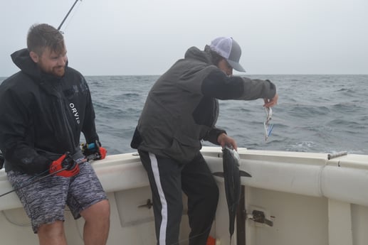 Little Tunny / False Albacore fishing in Galveston, Texas