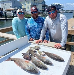 Redfish fishing in Beaufort, North Carolina