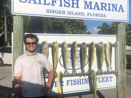 Mahi Mahi / Dorado fishing in West Palm Beach, Florida