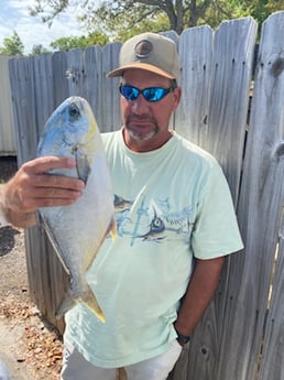 Mahi Mahi / Dorado fishing in Pensacola, Florida