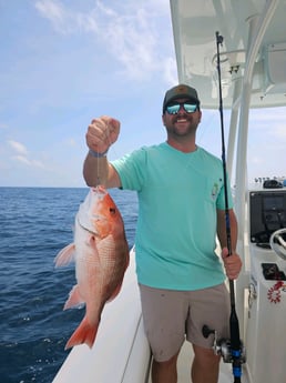 Red Snapper Fishing in Panama City, Florida