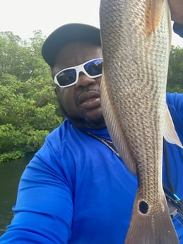 Redfish fishing in St. Petersburg, Florida