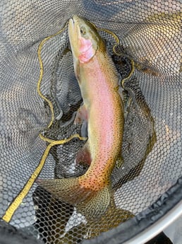 Fishing in Hume, California